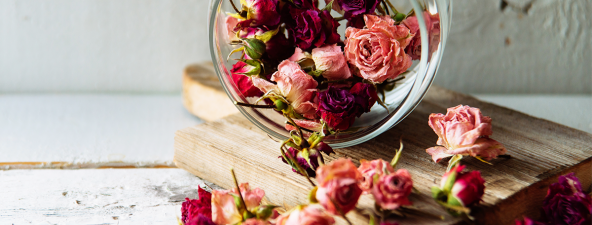 Know what to do with dry roses
