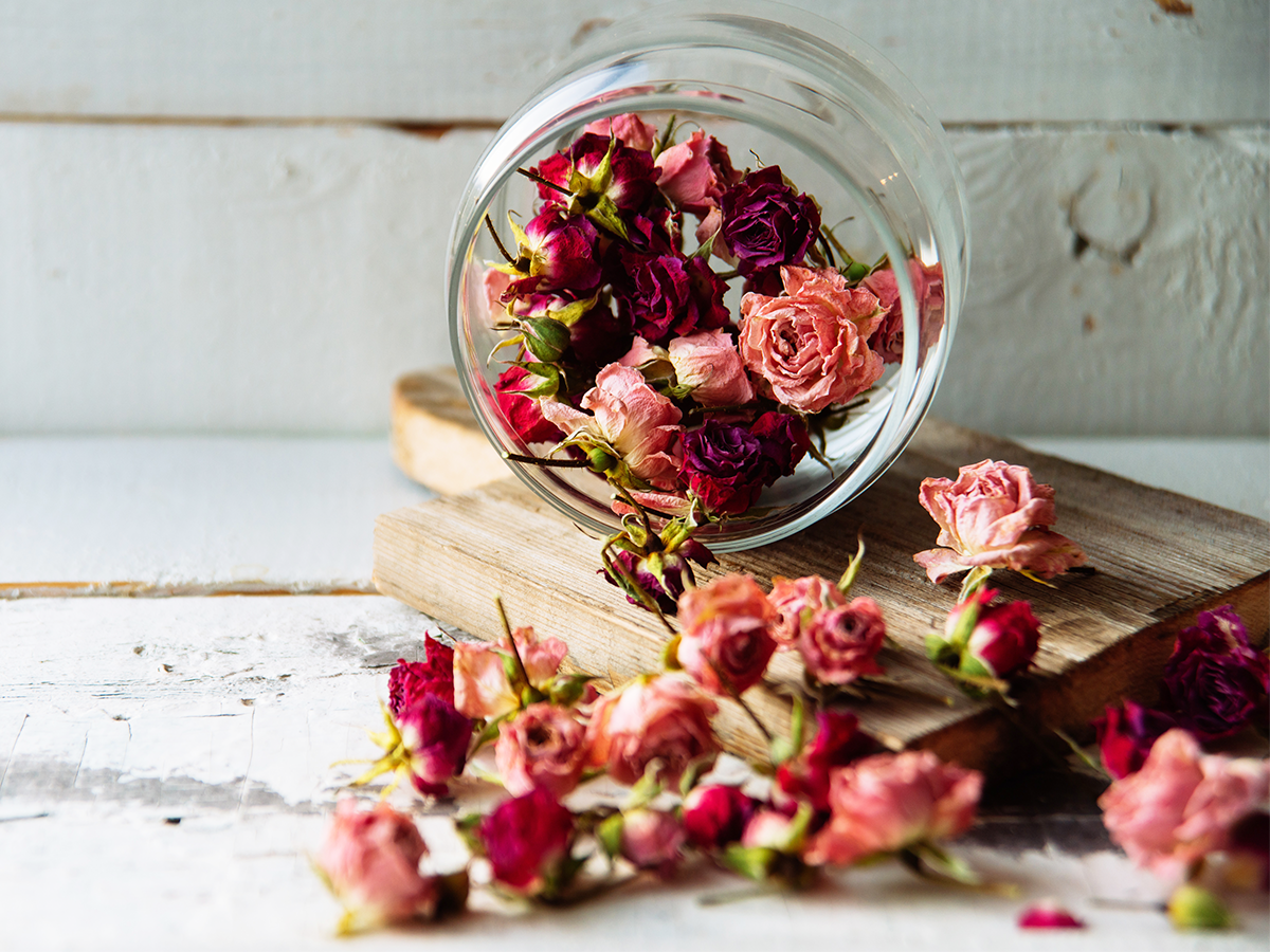 Know what to do with dry roses